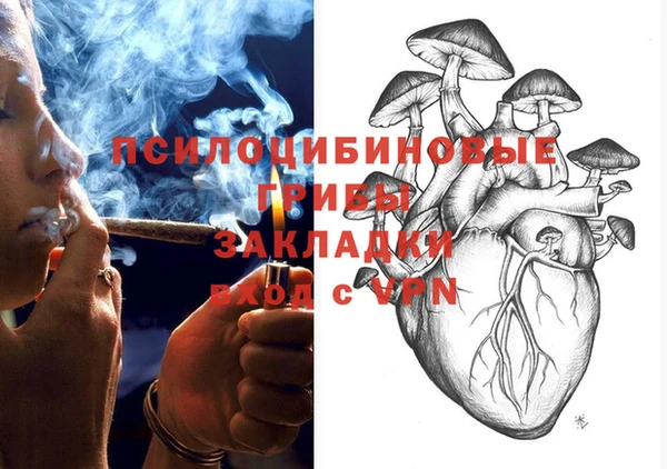 гидра Арсеньев