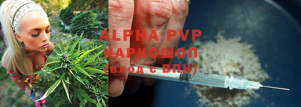гидра Арсеньев