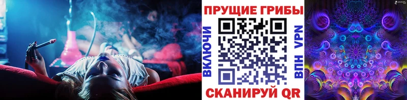 Псилоцибиновые грибы мухоморы как найти закладки Сортавала